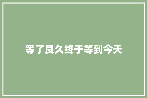 等了良久终于等到今天
