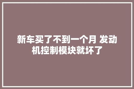 新车买了不到一个月 发动机控制模块就坏了