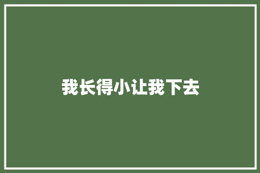我长得小让我下去