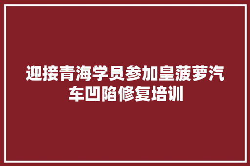 迎接青海学员参加皇菠萝汽车凹陷修复培训