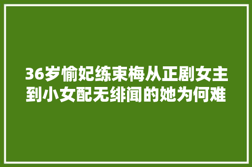 36岁愉妃练束梅从正剧女主到小女配无绯闻的她为何难走红