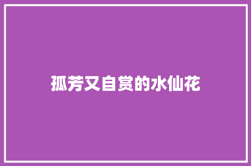 孤芳又自赏的水仙花