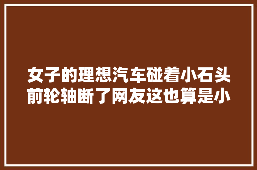 女子的理想汽车碰着小石头前轮轴断了网友这也算是小石头