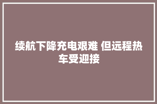 续航下降充电艰难 但远程热车受迎接