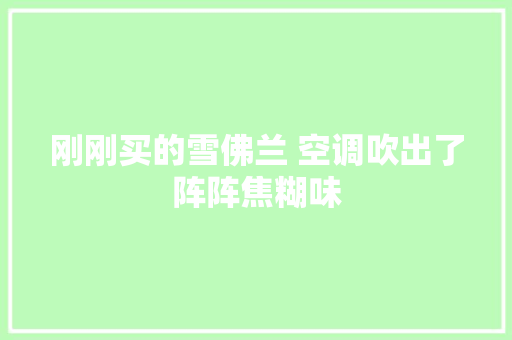刚刚买的雪佛兰 空调吹出了阵阵焦糊味 汽车知识
