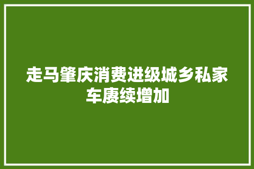 走马肇庆消费进级城乡私家车赓续增加
