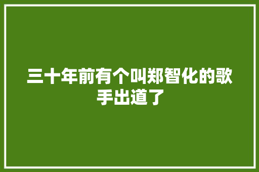 三十年前有个叫郑智化的歌手出道了