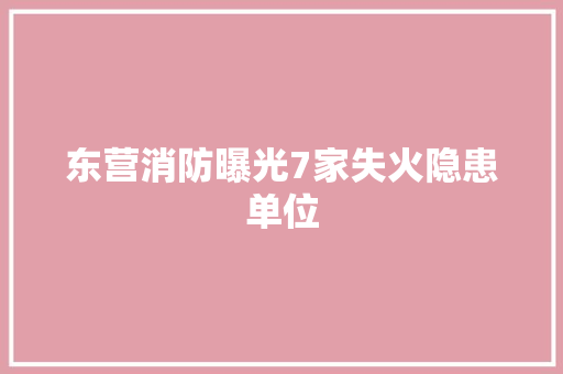 东营消防曝光7家失火隐患单位