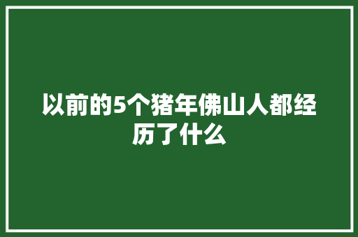 以前的5个猪年佛山人都经历了什么