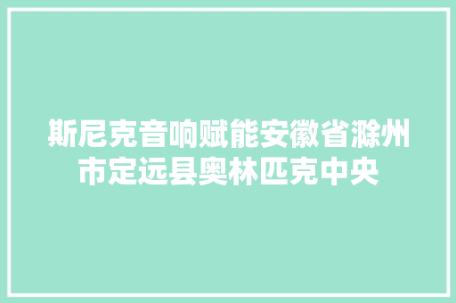 斯尼克音响赋能安徽省滁州市定远县奥林匹克中央