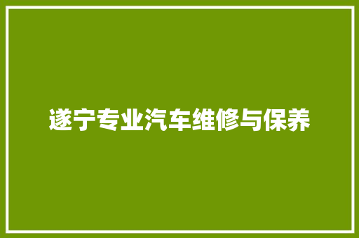 遂宁专业汽车维修与保养