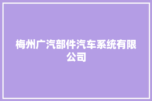 梅州广汽部件汽车系统有限公司