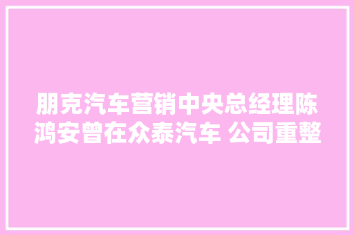 朋克汽车营销中央总经理陈鸿安曾在众泰汽车 公司重整后他上任