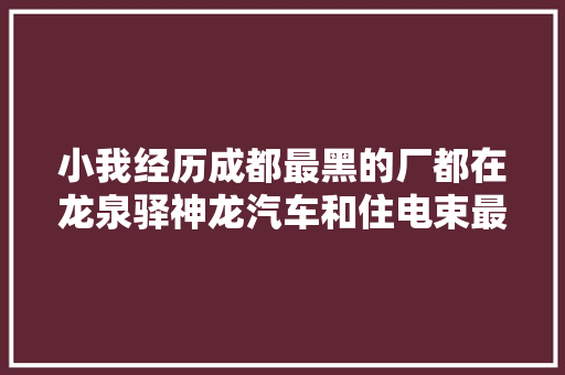 小我经历成都最黑的厂都在龙泉驿神龙汽车和住电束最坑人