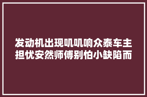 发动机出现叽叽响众泰车主担忧安然师傅别怕小缺陷而已