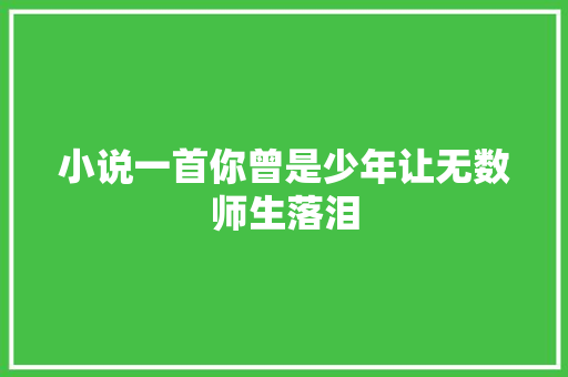 小说一首你曾是少年让无数师生落泪