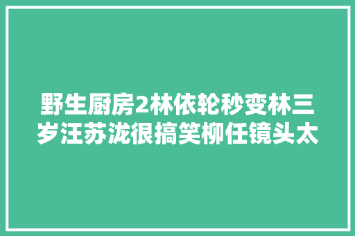 野生厨房2林依轮秒变林三岁汪苏泷很搞笑柳任镜头太少