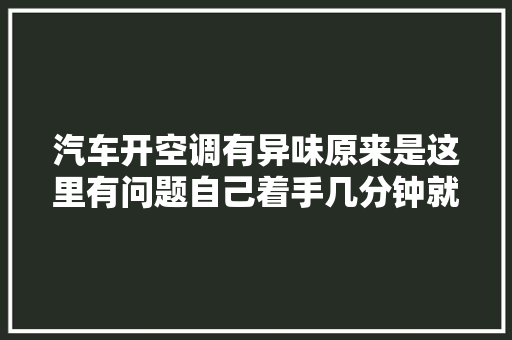 汽车开空调有异味原来是这里有问题自己着手几分钟就能解决