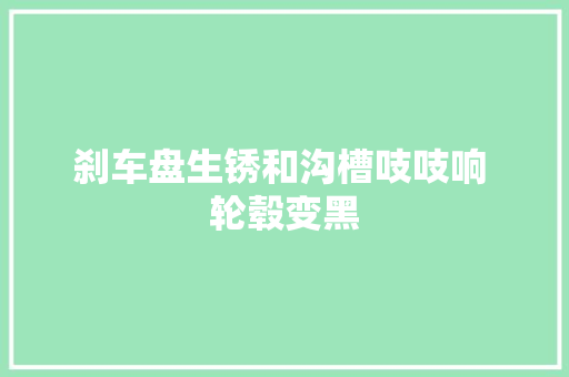 刹车盘生锈和沟槽吱吱响 轮毂变黑