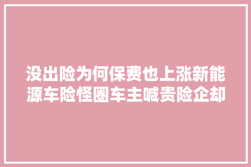 没出险为何保费也上涨新能源车险怪圈车主喊贵险企却称不赚钱