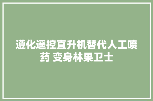 遵化遥控直升机替代人工喷药 变身林果卫士