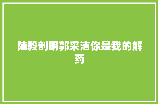 陆毅剖明郭采洁你是我的解药