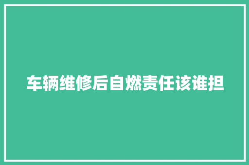 车辆维修后自燃责任该谁担