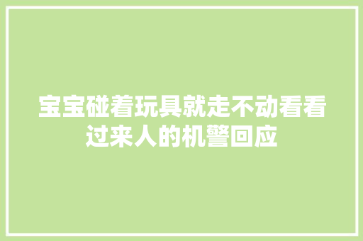 宝宝碰着玩具就走不动看看过来人的机警回应