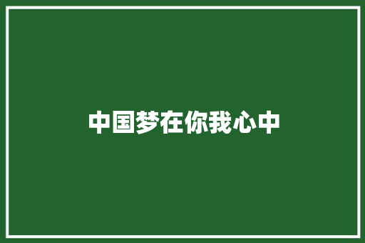 中国梦在你我心中 休闲娱乐