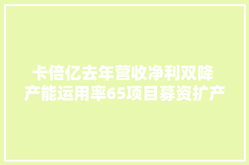 卡倍亿去年营收净利双降 产能运用率65项目募资扩产