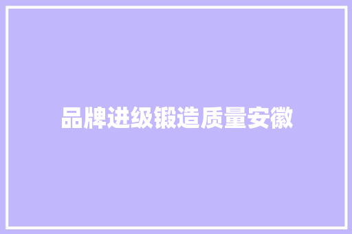 品牌进级锻造质量安徽