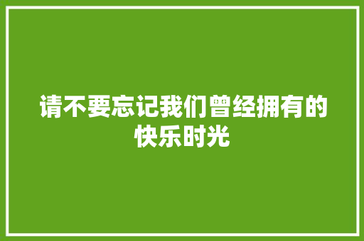 请不要忘记我们曾经拥有的快乐时光
