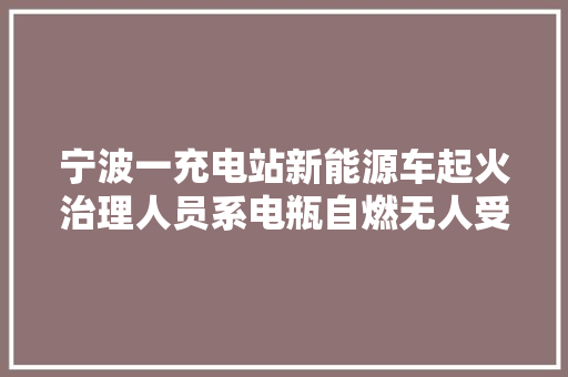 宁波一充电站新能源车起火治理人员系电瓶自燃无人受伤