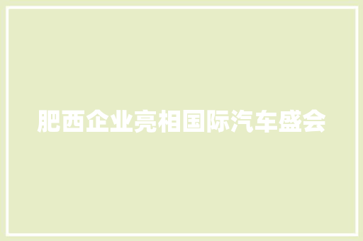 肥西企业亮相国际汽车盛会