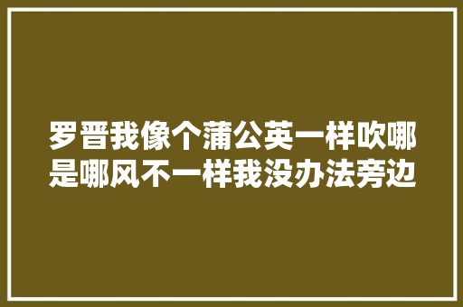 罗晋我像个蒲公英一样吹哪是哪风不一样我没办法旁边往哪飞