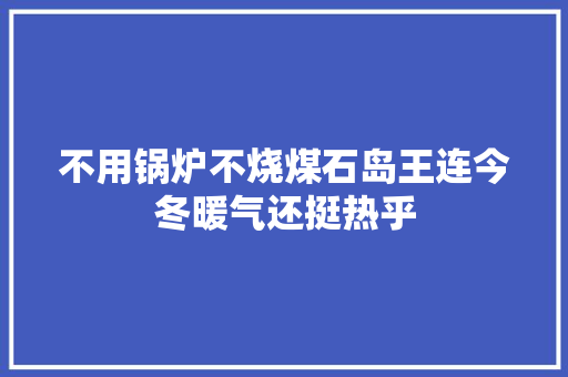 不用锅炉不烧煤石岛王连今冬暖气还挺热乎