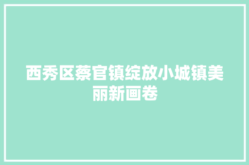 西秀区蔡官镇绽放小城镇美丽新画卷
