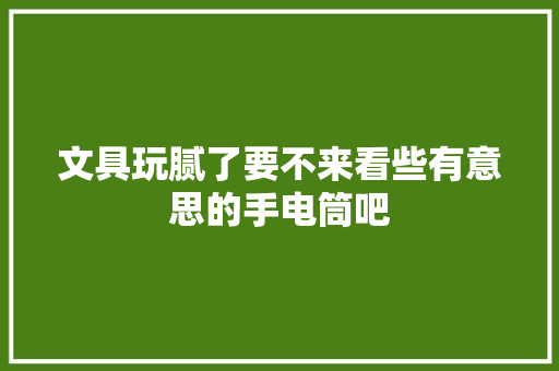 文具玩腻了要不来看些有意思的手电筒吧