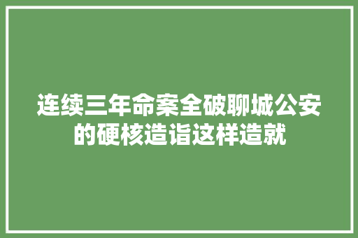 连续三年命案全破聊城公安的硬核造诣这样造就