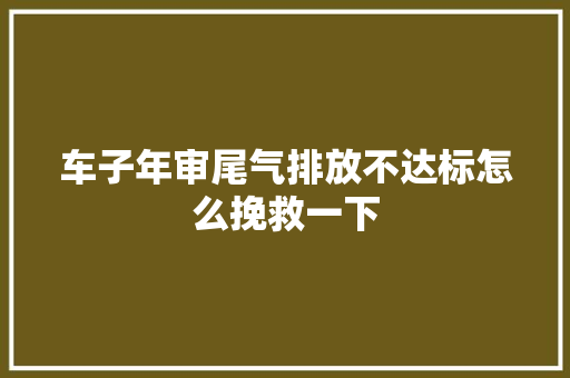 车子年审尾气排放不达标怎么挽救一下