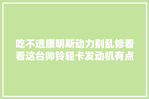 吃不透康明斯动力别乱修看看这台帅铃轻卡发动机有点惨