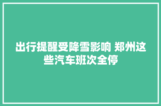 出行提醒受降雪影响 郑州这些汽车班次全停