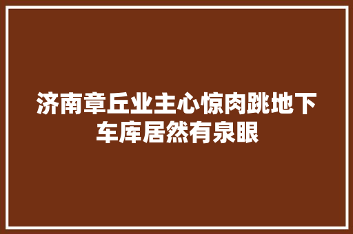 济南章丘业主心惊肉跳地下车库居然有泉眼