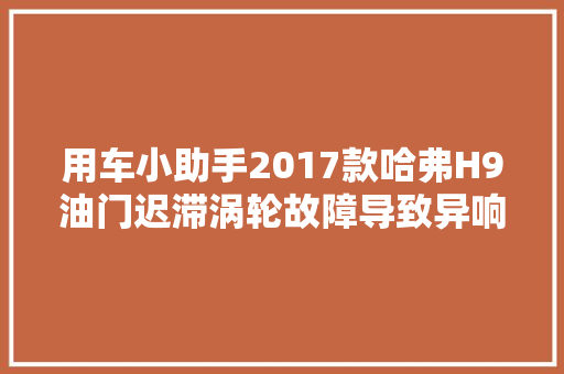 用车小助手2017款哈弗H9油门迟滞涡轮故障导致异响怎么解决