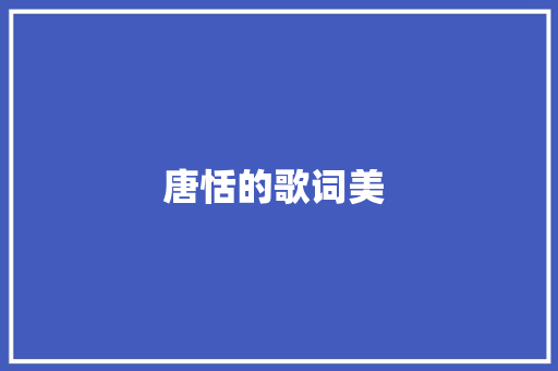 唐恬的歌词美 