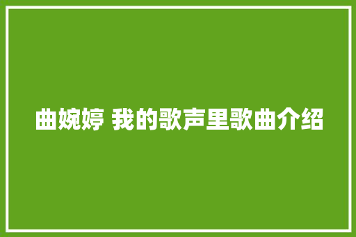 曲婉婷 我的歌声里歌曲介绍