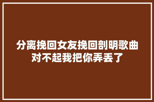 分离挽回女友挽回剖明歌曲对不起我把你弄丢了