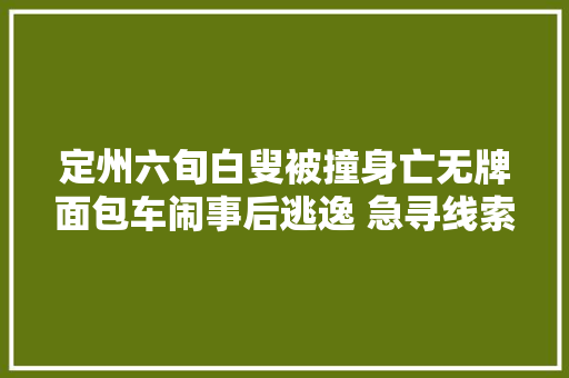 定州六旬白叟被撞身亡无牌面包车闹事后逃逸 急寻线索