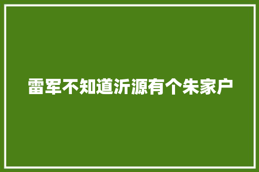 雷军不知道沂源有个朱家户