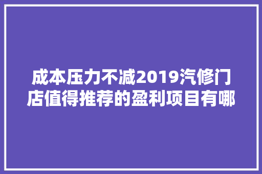 成本压力不减2019汽修门店值得推荐的盈利项目有哪些
